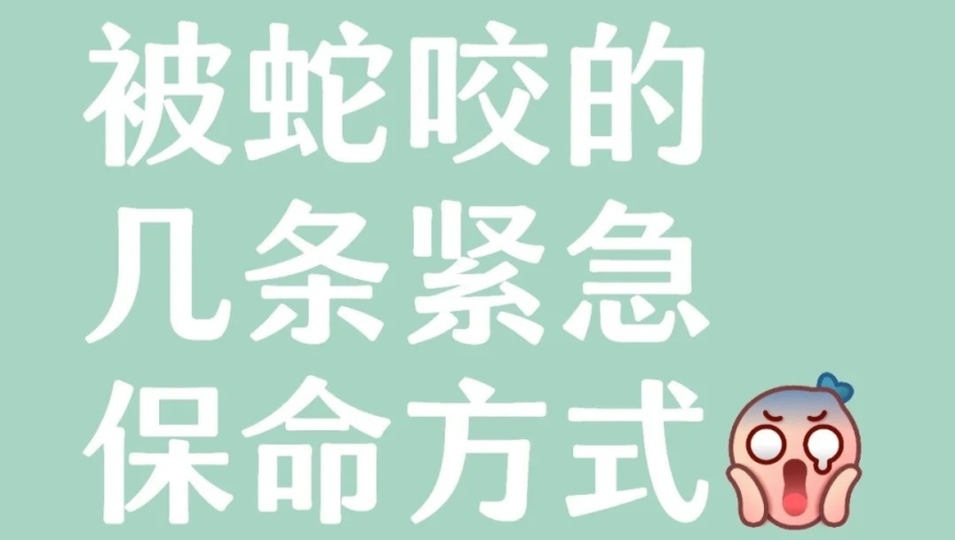 董路劝国足别找70岁教练,47图库免费的资料港澳,展开计划实施_高清版V7.28