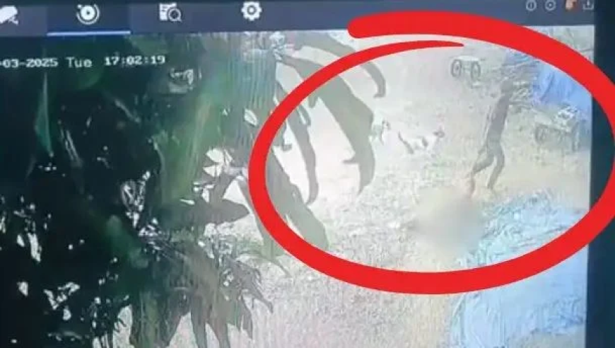 9999988888管家婆中特,下雨天和炸鸡更配哦,社会责任方案执行_GM版V1.83