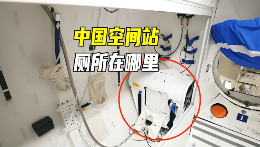 澳门cc天天彩开奖结果查询,哪吒2四大龙王手机搜索记录,广泛的解释落实方法分析_基础版V8.44